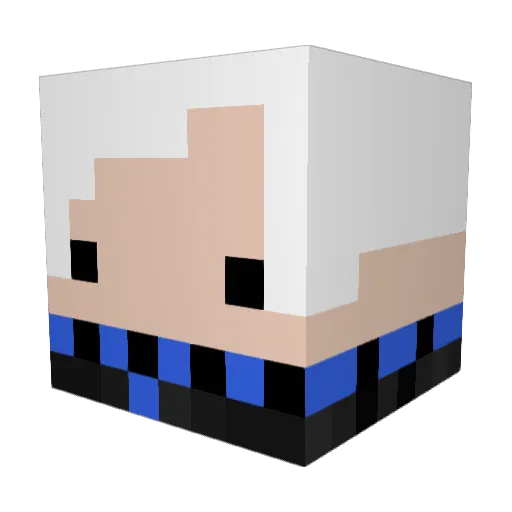 gordito2208 Minecraft avatar head, 3D render