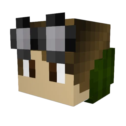 gorgsn Minecraft avatar head, 3D render