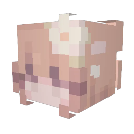 gosia_gal Minecraft avatar head, 3D render