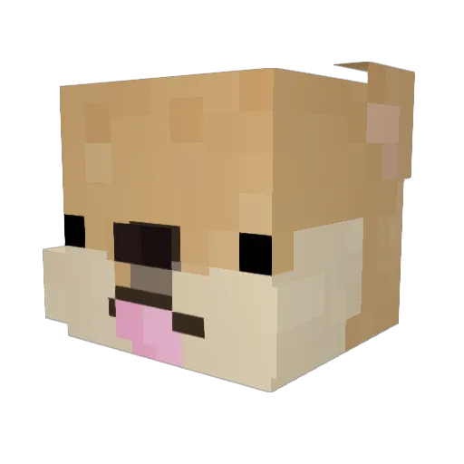 gotafriendinyee Minecraft avatar head, 3D render