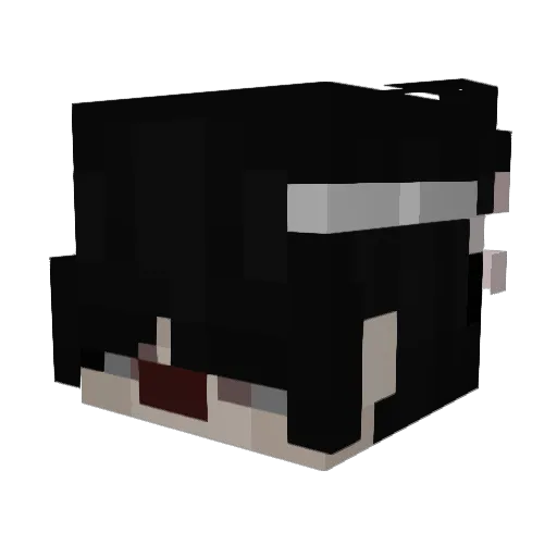 gothic_angels Minecraft avatar head, 3D render