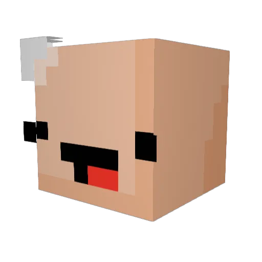 gotkamote Minecraft avatar head, 3D render
