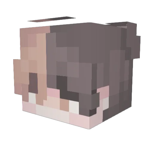 gott01234 Minecraft avatar head, 3D render