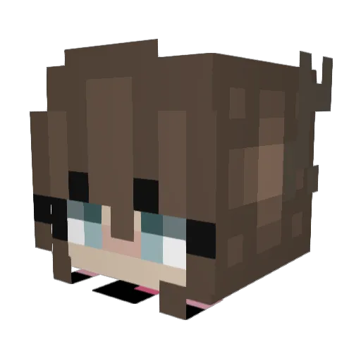 gottaRun06 Minecraft avatar head, 3D render