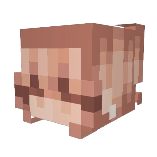 gottkomplexx Minecraft avatar head, 3D render