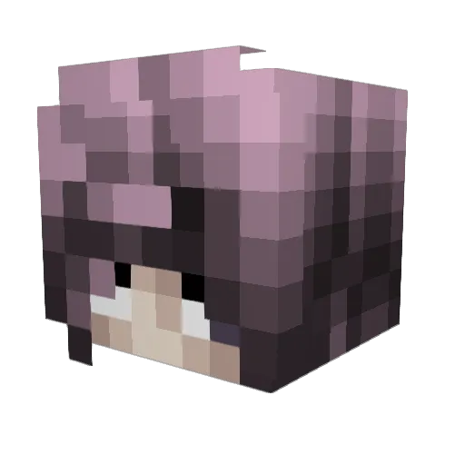 gottnan Minecraft avatar head, 3D render