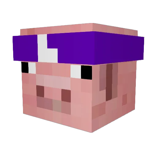 gotwoojin Minecraft avatar head, 3D render