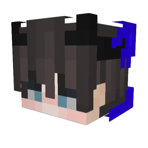 gpoioaa Minecraft avatar head, 3D render