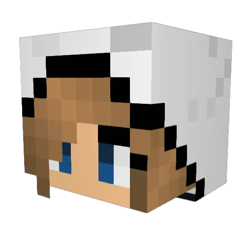 gppee1000 Minecraft avatar head, 3D render