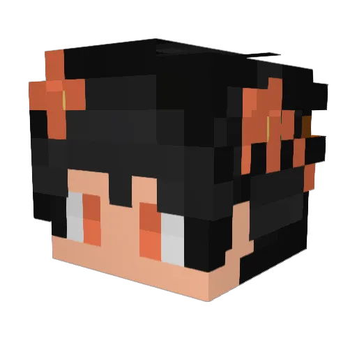 gr11_ Minecraft avatar head, 3D render