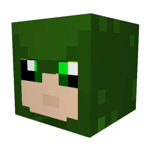 gr1ff1n2030 Minecraft avatar head, 3D render