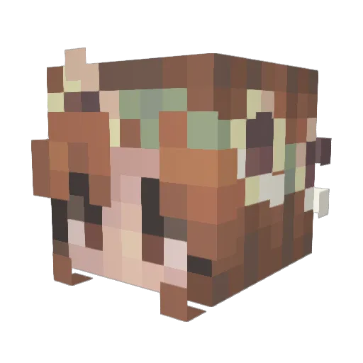 gr4ckles Minecraft avatar head, 3D render