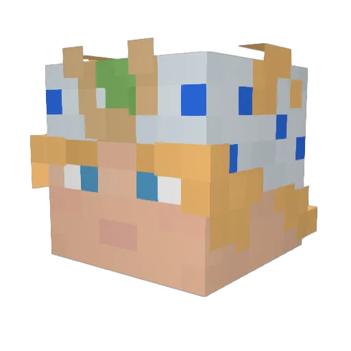 gr4gm Minecraft avatar head, 3D render