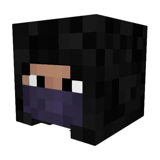 gr4y_b0t Minecraft avatar head, 3D render