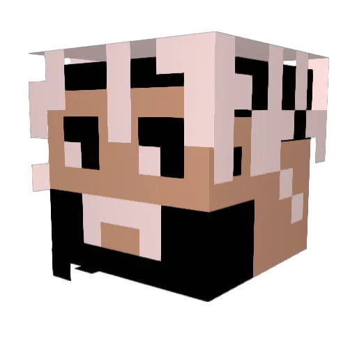 grMath Minecraft avatar head, 3D render