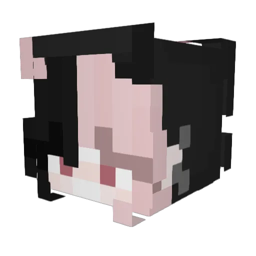graacie17 Minecraft avatar head, 3D render