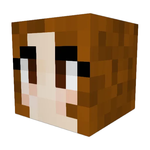 grabtamara Minecraft avatar head, 3D render