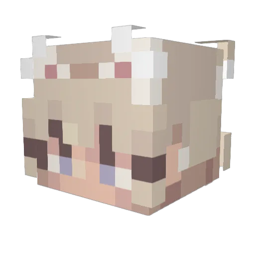 graca831 Minecraft avatar head, 3D render