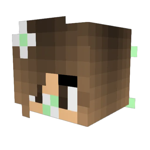 grace1055 Minecraft avatar head, 3D render