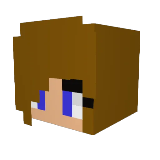 grace6349 Minecraft avatar head, 3D render