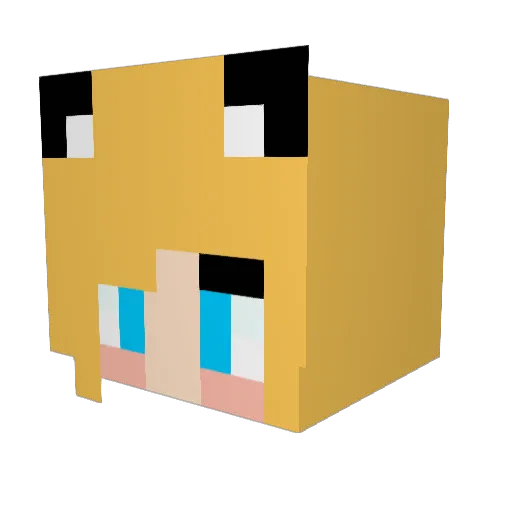 grace829 Minecraft avatar head, 3D render