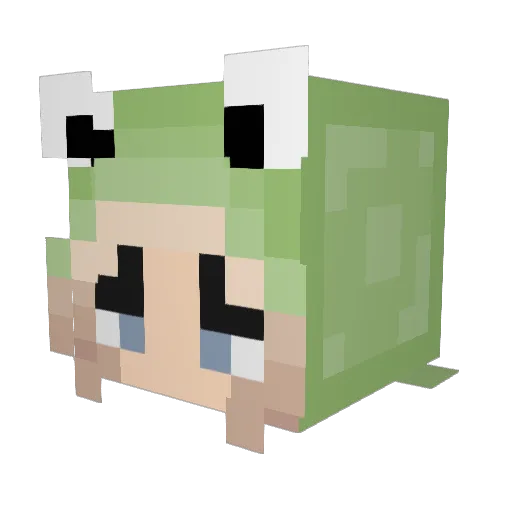 grace_catt Minecraft avatar head, 3D render