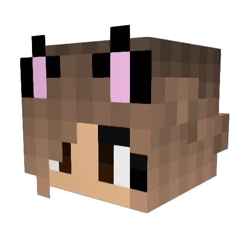 grace_cc Minecraft avatar head, 3D render