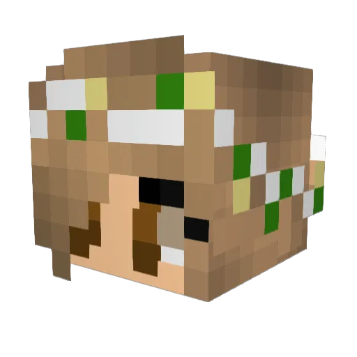 grace_elm18 Minecraft avatar head, 3D render