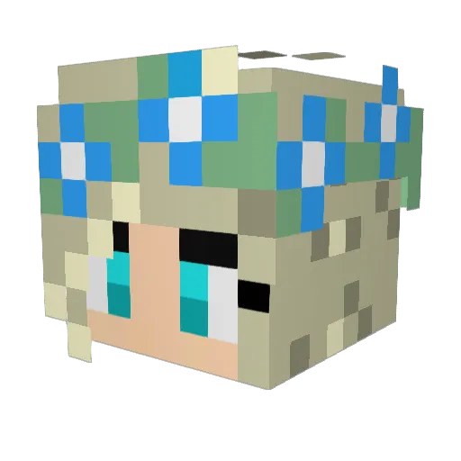 graceful_otter Minecraft avatar head, 3D render