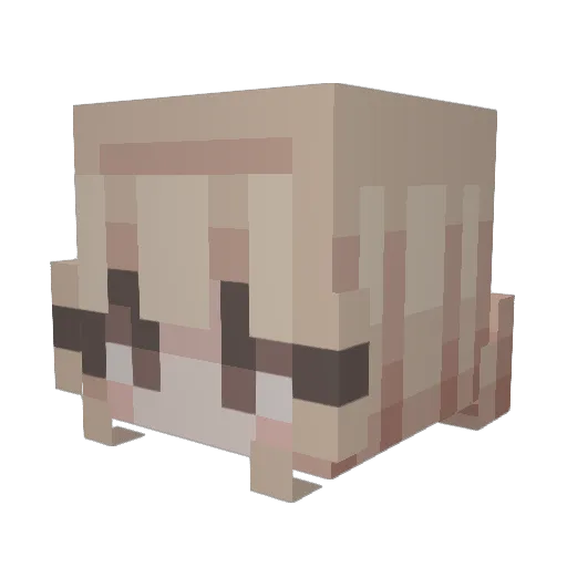 gracegibs Minecraft avatar head, 3D render