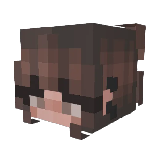 gracegoat21 Minecraft avatar head, 3D render