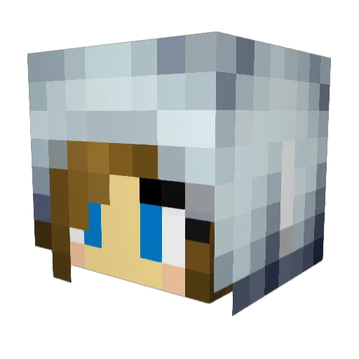 gracegrace07 Minecraft avatar head, 3D render