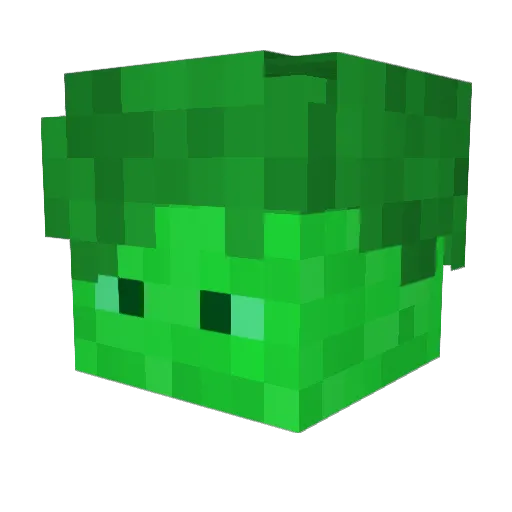 gracekacz Minecraft avatar head, 3D render
