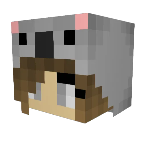 gracelynmartinez Minecraft avatar head, 3D render