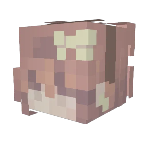 gracepeee Minecraft avatar head, 3D render