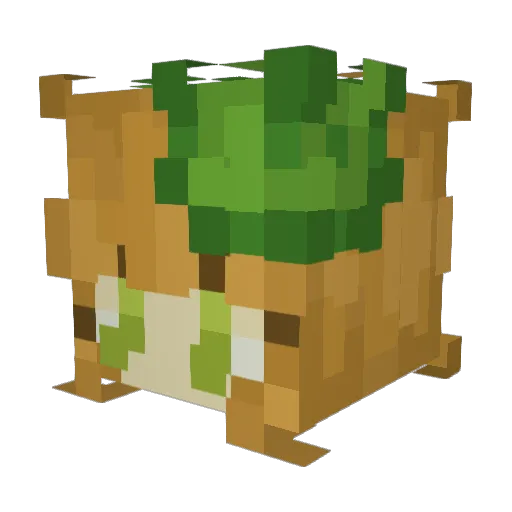 gracethefrog Minecraft avatar head, 3D render