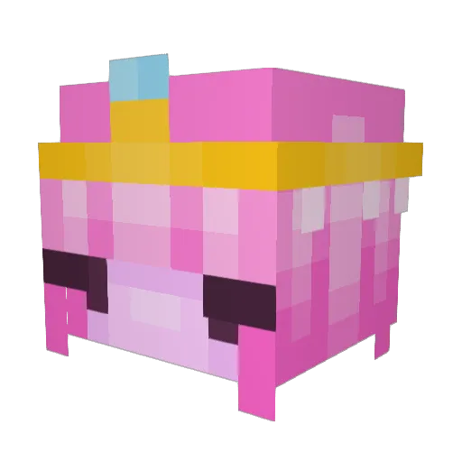 gracie1yo Minecraft avatar head, 3D render