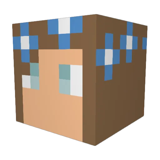 gracie5 Minecraft avatar head, 3D render