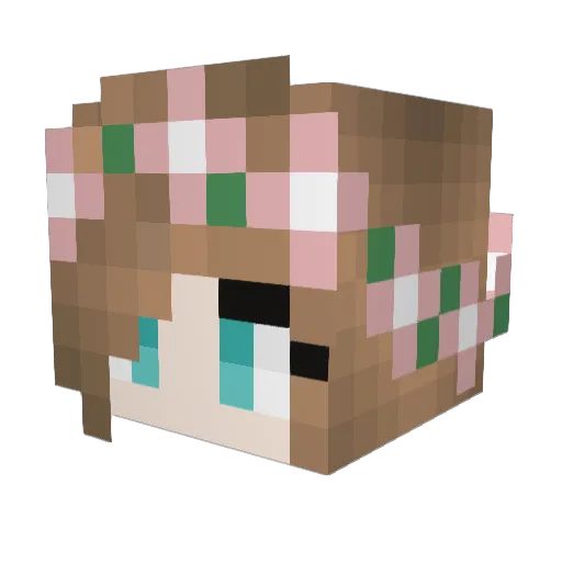 gracie_doodle Minecraft avatar head, 3D render
