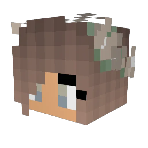 graciegrapess Minecraft avatar head, 3D render