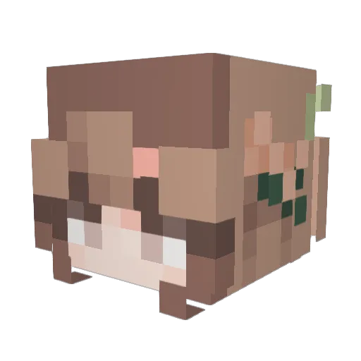 gracieishere22 Minecraft avatar head, 3D render