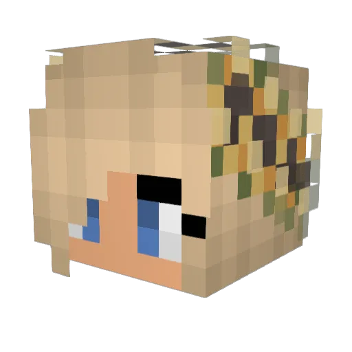gracieishere Minecraft avatar head, 3D render