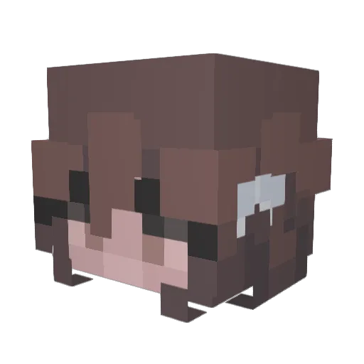 gracielane14 Minecraft avatar head, 3D render