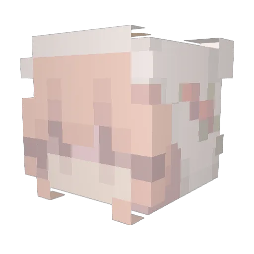 graciesicecream Minecraft avatar head, 3D render