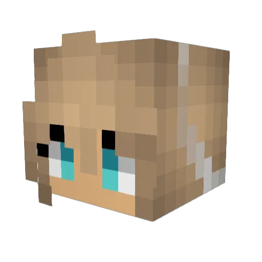 graciey2323 Minecraft avatar head, 3D render