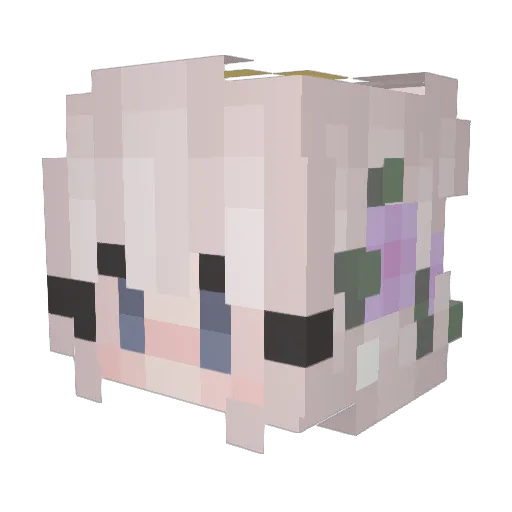 grackleberry Minecraft avatar head, 3D render