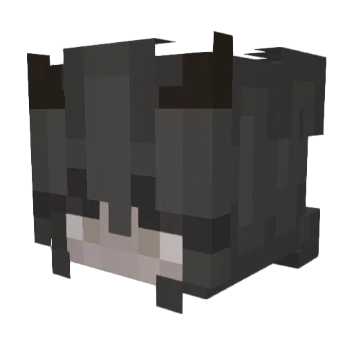 gracyblade Minecraft avatar head, 3D render