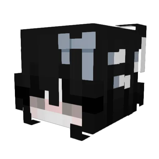 gracz346 Minecraft avatar head, 3D render