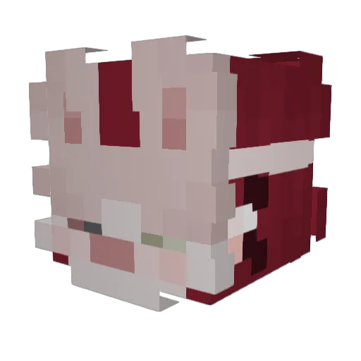 gradypoopy Minecraft avatar head, 3D render