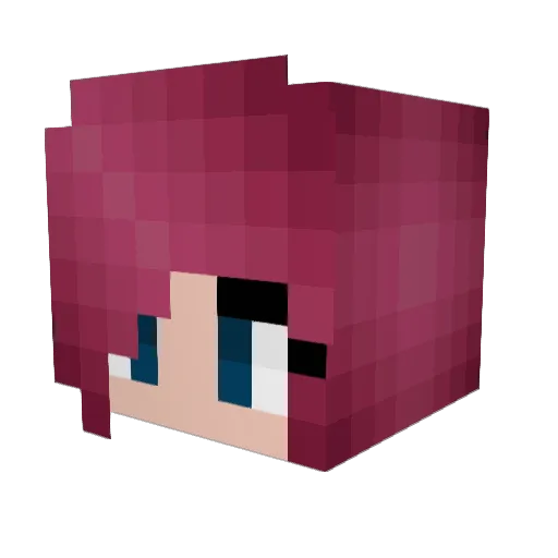 graftuinmeisje Minecraft avatar head, 3D render